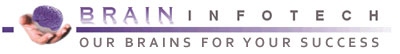 Survey Project Manager